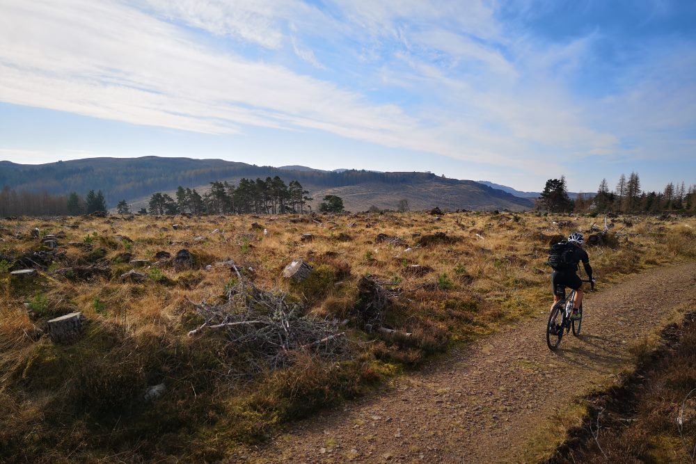 Cycling on the trail