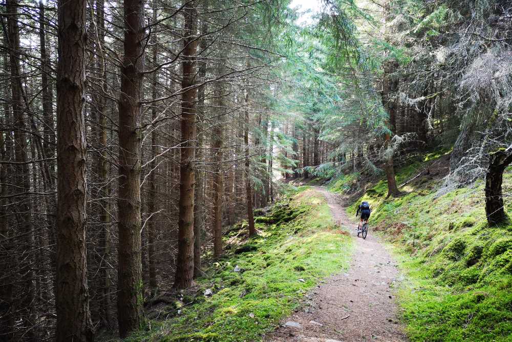 Cyclist on trail Cyclist on the South Loch Ness Trail