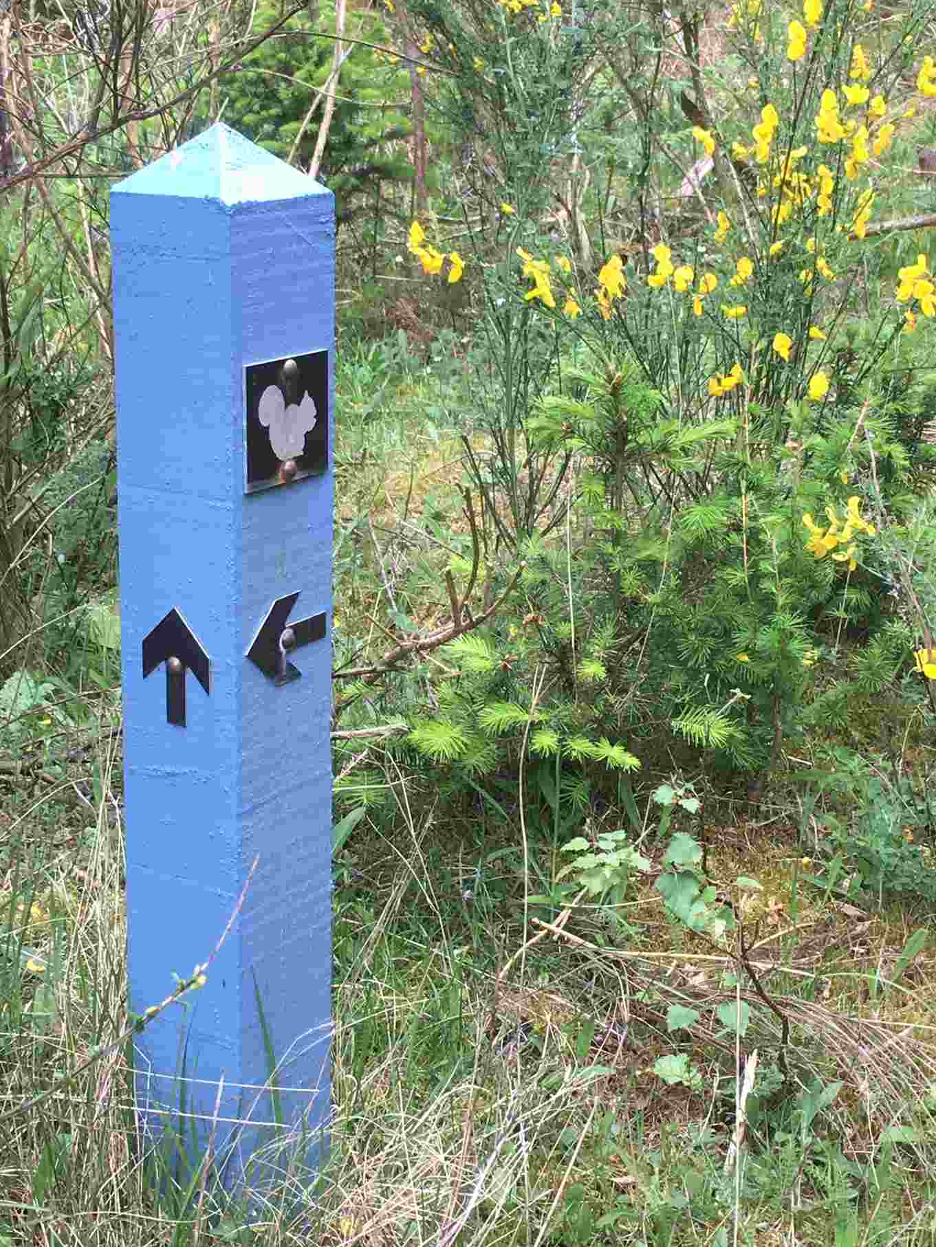 Photograph of a South Loch Ness Trail Marker