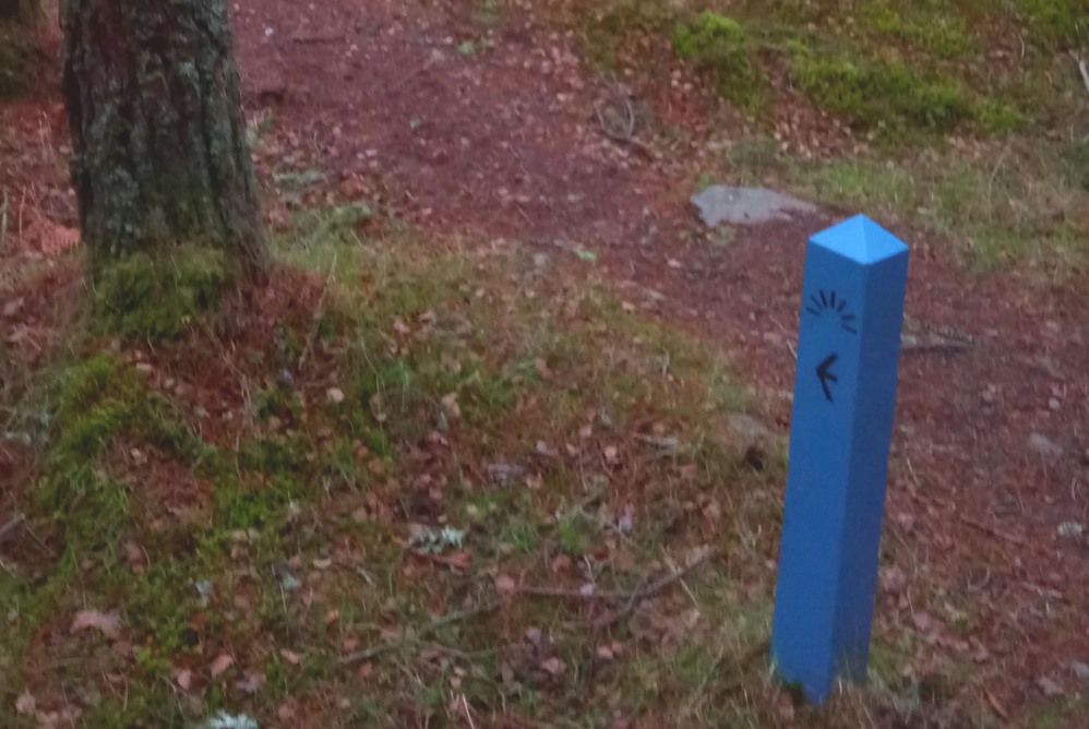 Waymarker indicating a viewpoint on the Great Glen Way near Drumnadrochit