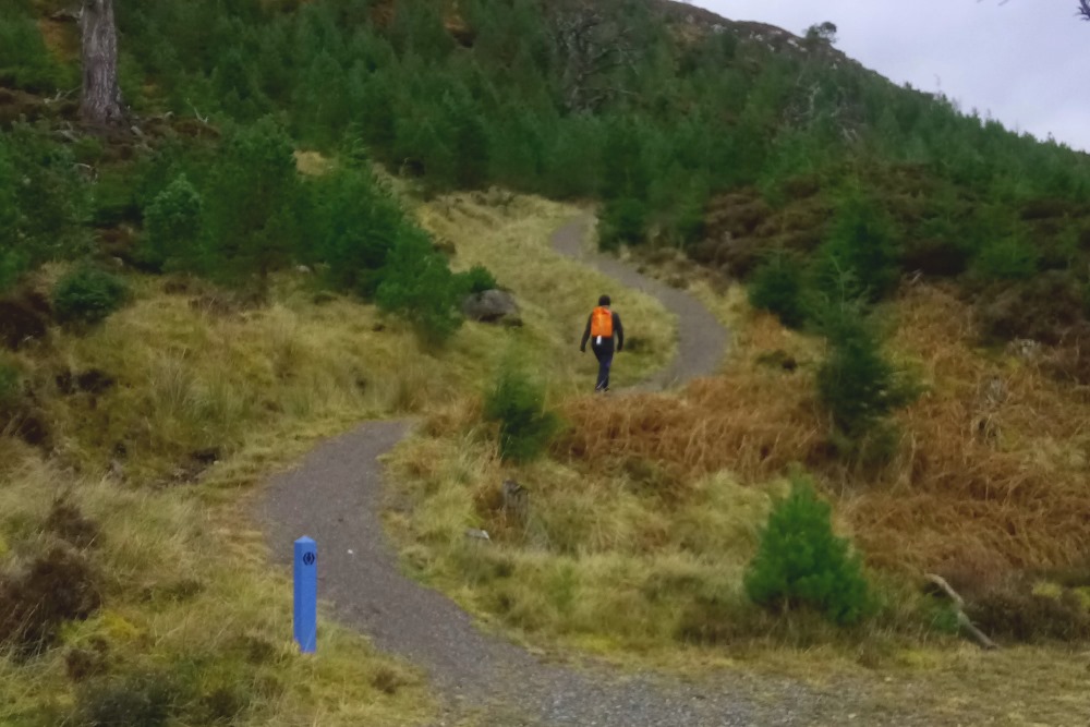 Walker on the Great Glen Way high route between Drumnadrochit and Invermoriston