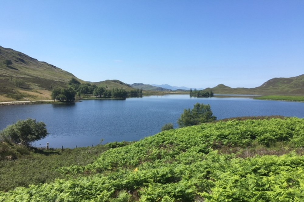 Loch Tarff on the South Loch Ness Trail in summer