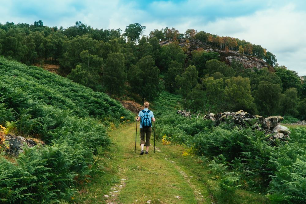 Walker on the South Loch Ness Trail between Whitebridge and Foyers