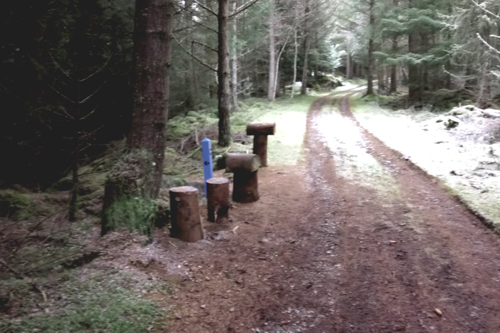 South Loch Ness Trail near Foyers
