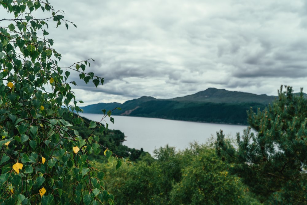 View of Loch Ness from the corkscrew Road on the South Loch Ness Trail