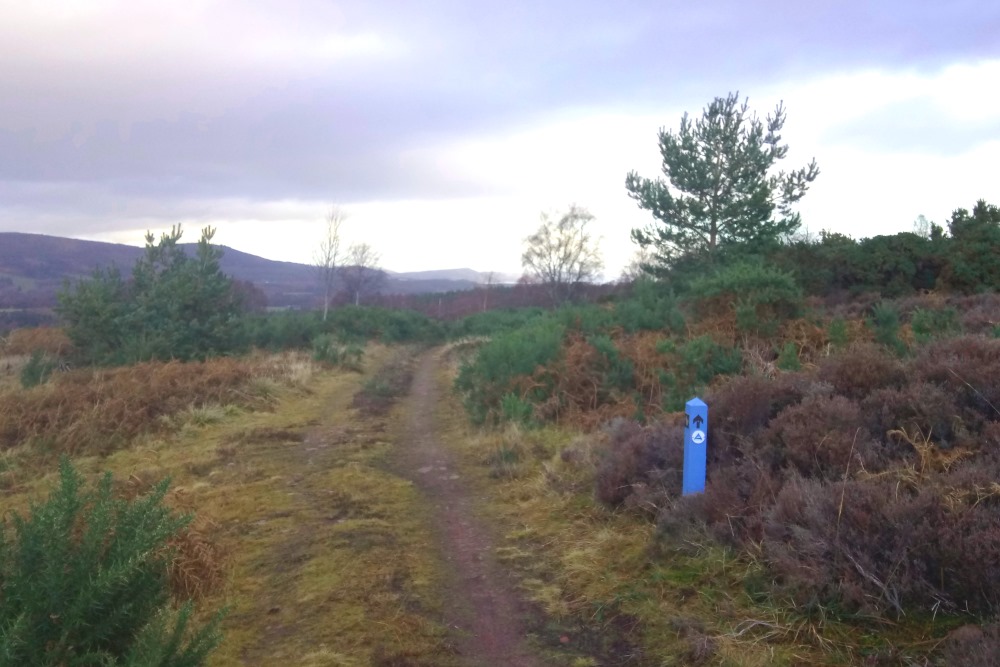 South Loch Ness Trail signpost on Drumashie Moor