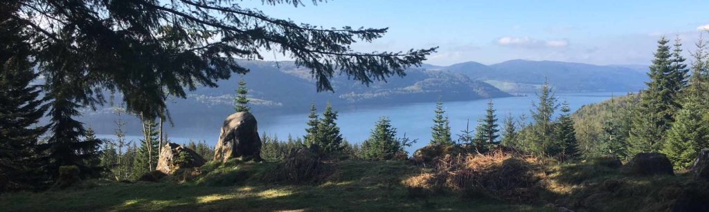 View of Loch Ness, just off the trail at Inverfarigaig