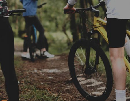 Close up of mountain bikes in a forest