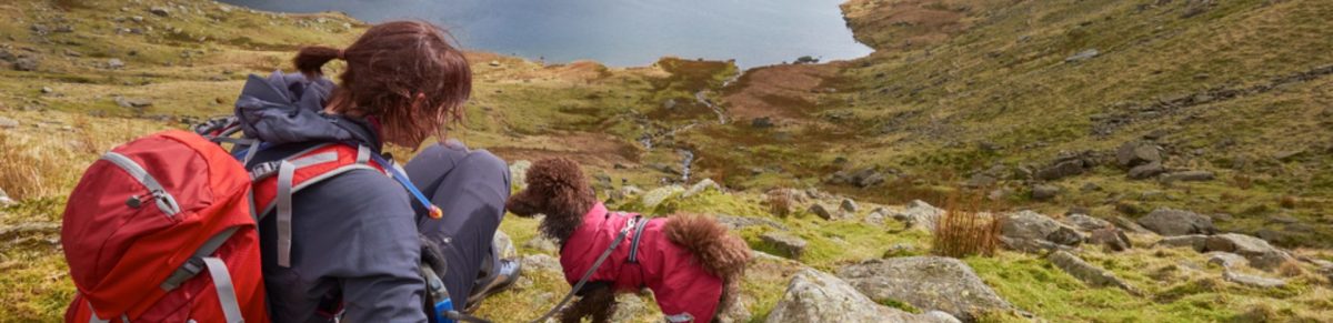 Dog Walking Holidays