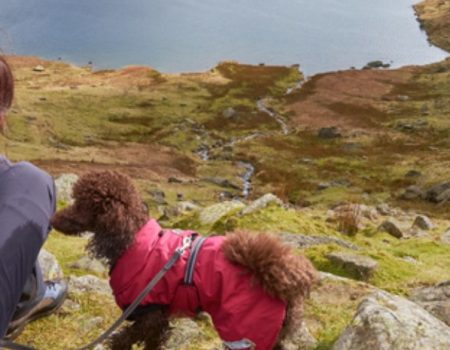 Lady hiking with her dog in the highlands