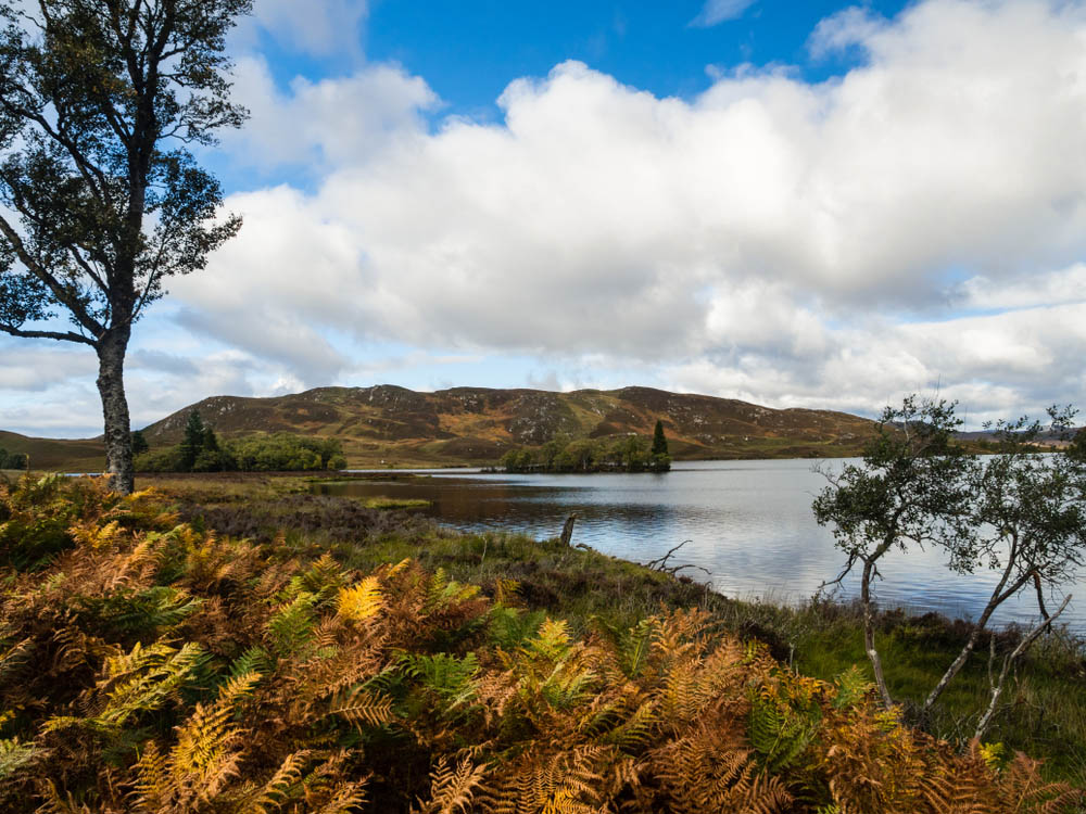 Loch Tarff in the Autumn with golden bracken in the foreground
