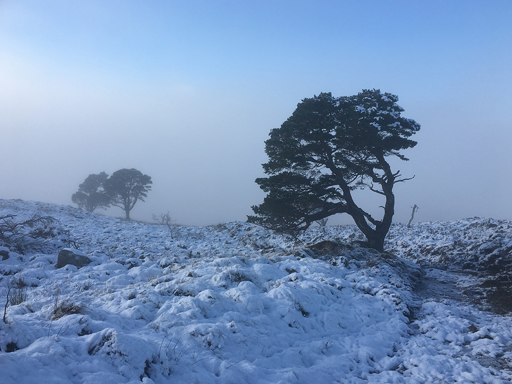 The Loch Ness 360 trail covered in snow