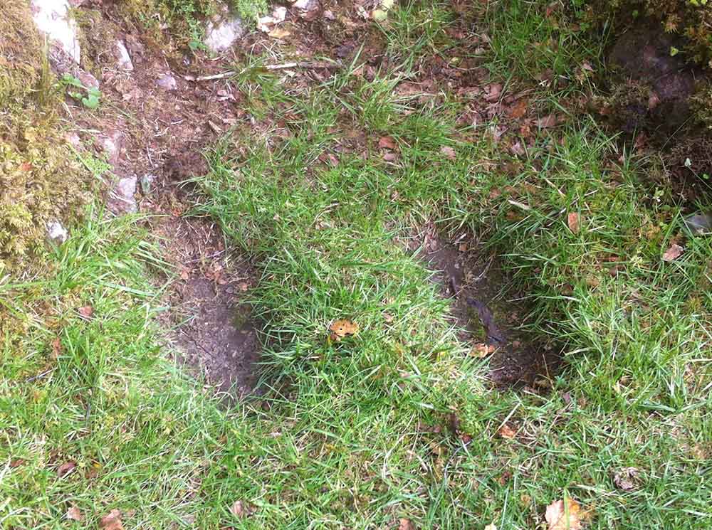 A closeup of the Glenmoriston footprints.