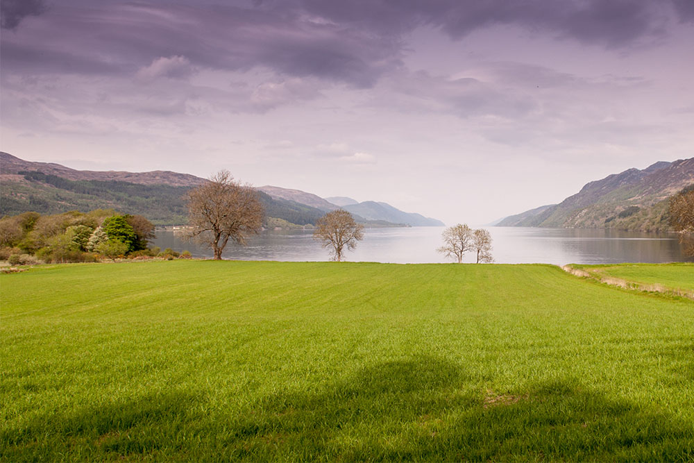 a view over loch ness near borlum bay