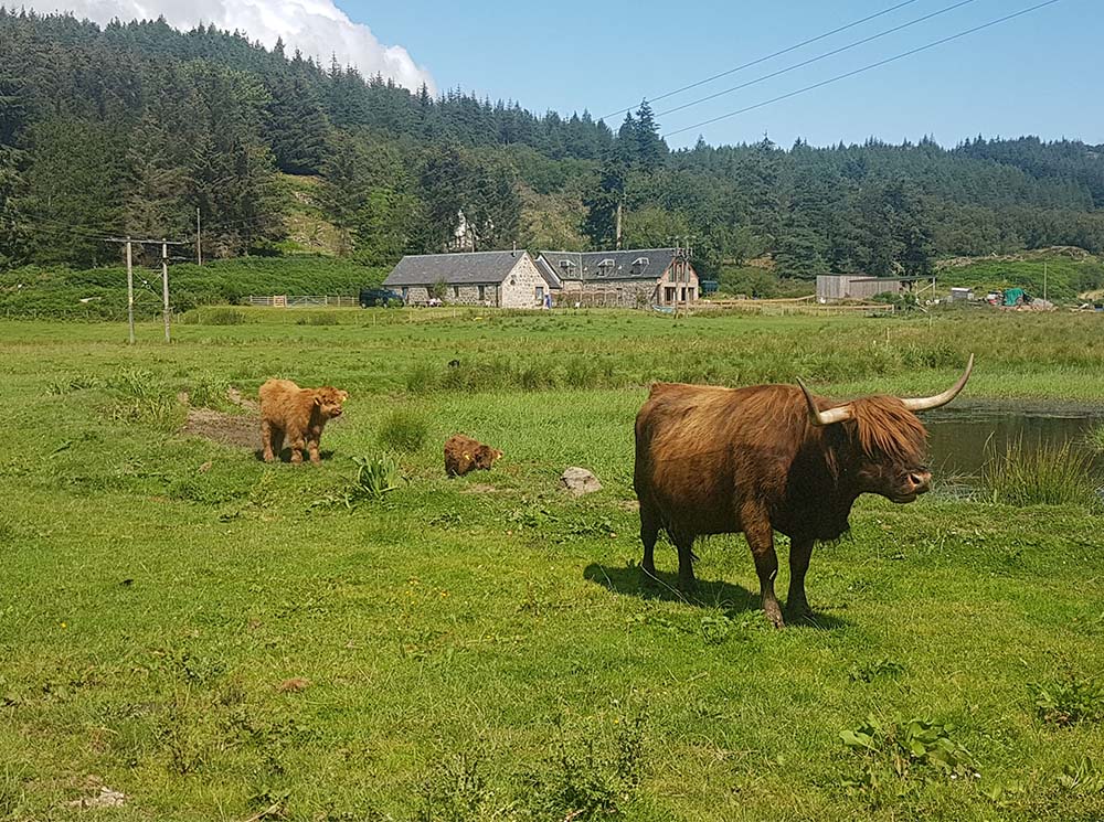 Coronavirus Safe Holidays – Walks Around Loch Ness