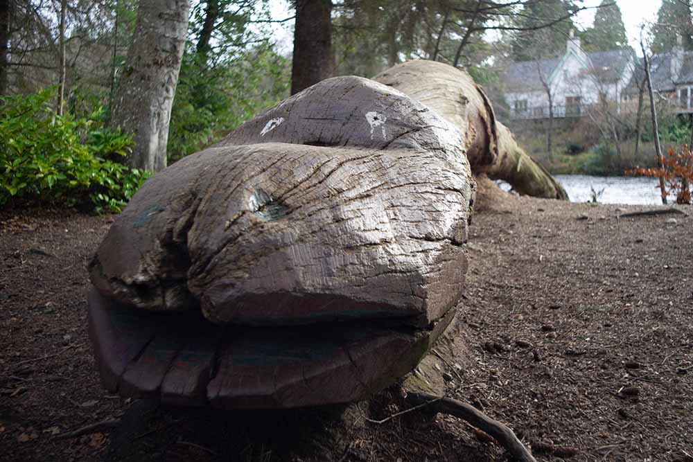 ALoch Ness Monster sculpture on Ness Islands on River Ness